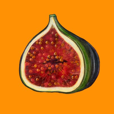 Fig on Orange by Sarah Thompson Engels